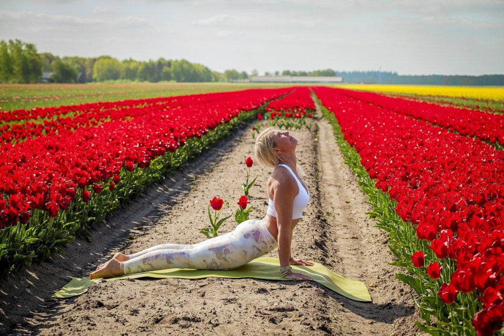 Hatha Yoga dans les champs de fleur